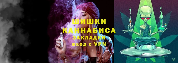 мдпв Кодинск