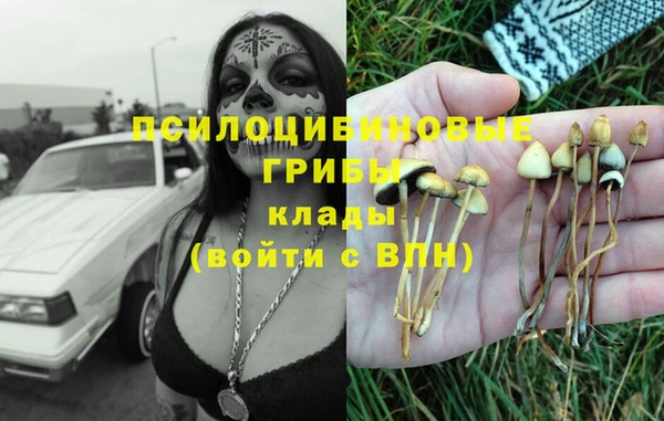 Альфа ПВП Зерноград