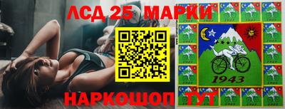 apvp Гудермес