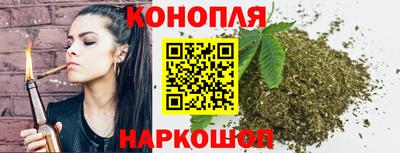 гидра Надым