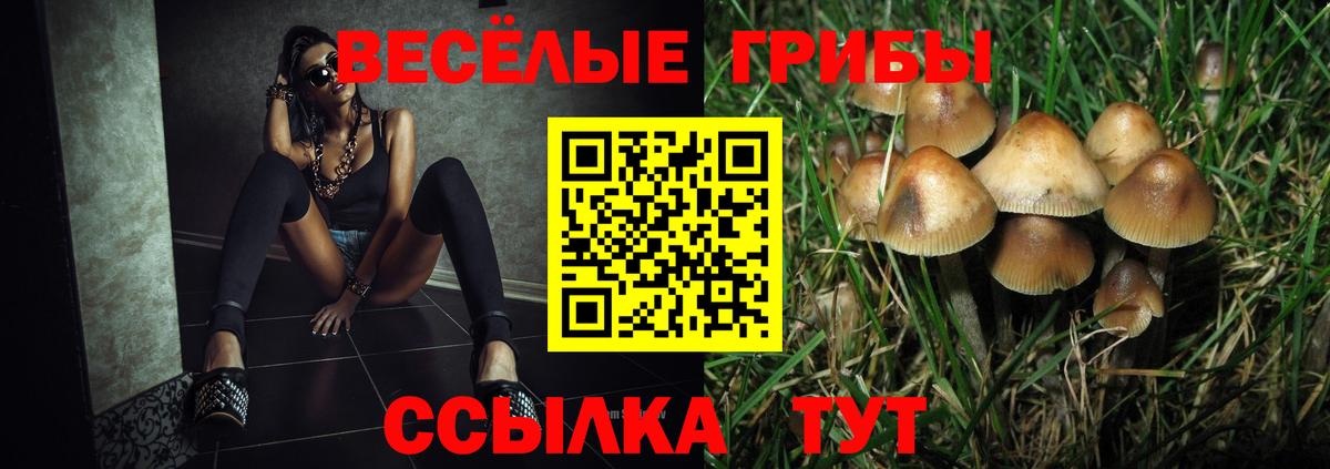 Слободской  Галлюциногенные грибы прущие грибы  Вход с VPN 